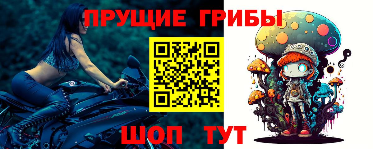 Псилоцибиновые грибы Psilocybine cubensis  Вход с VPN  закладки  Нальчик 